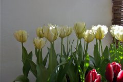 20.3.4_-78